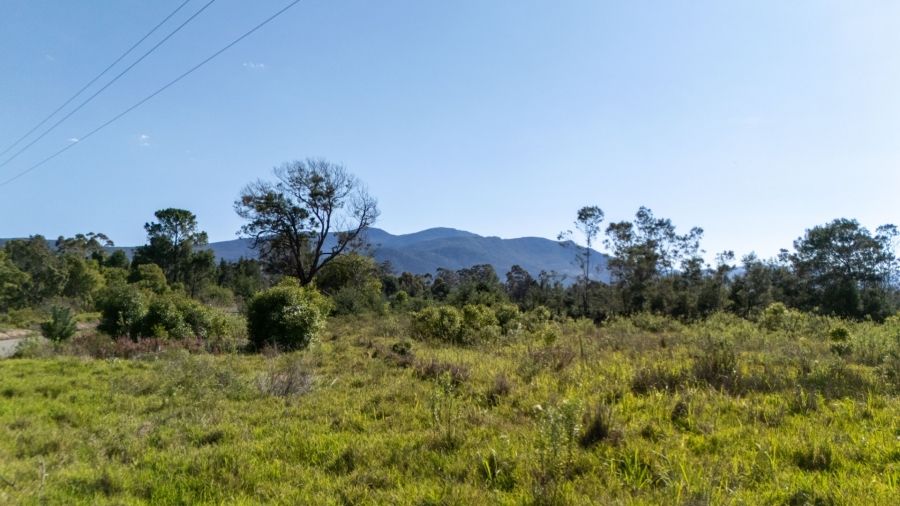 Commercial Property for Sale in Plettenberg Bay Rural Western Cape